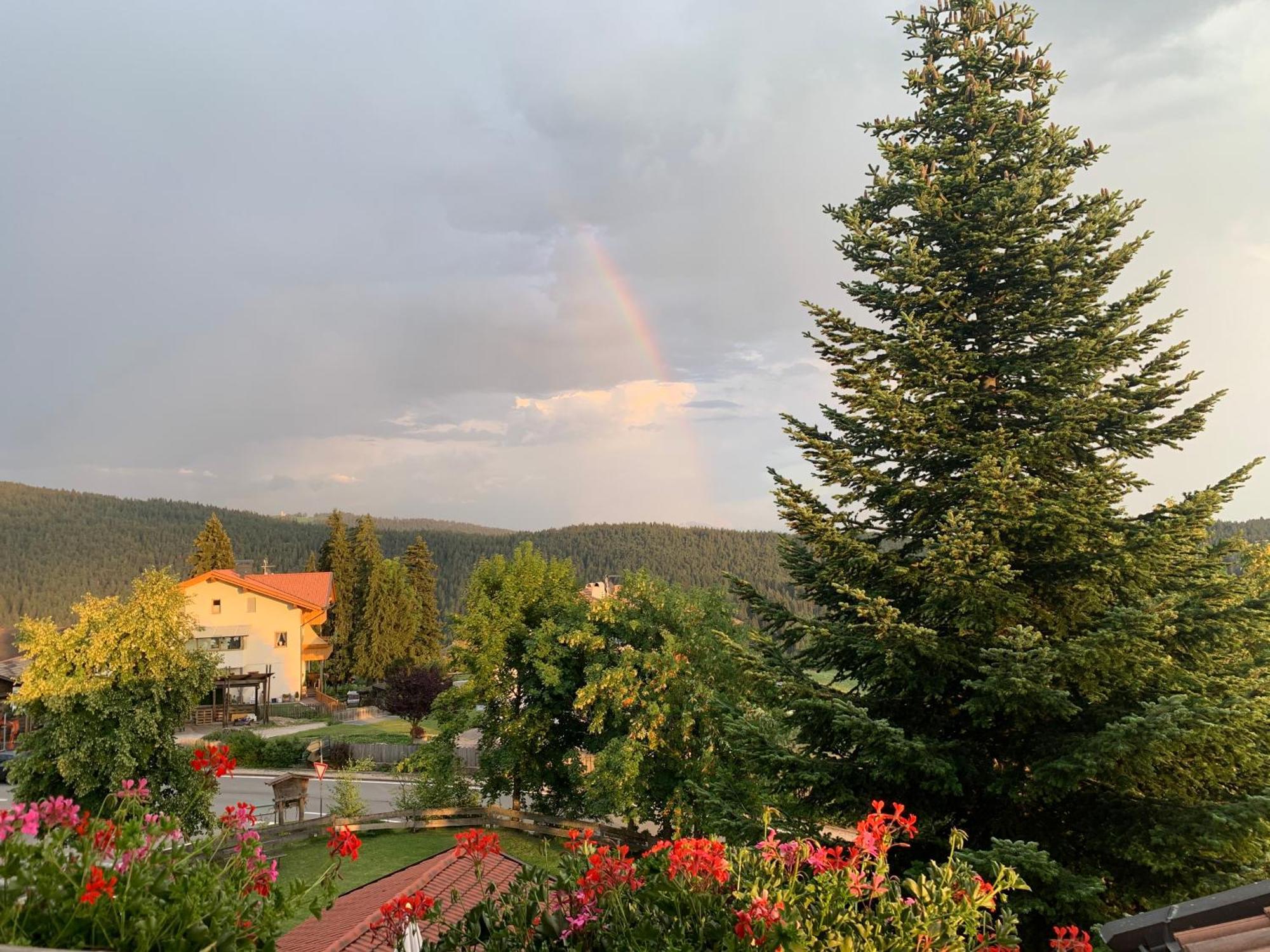 Albero Verde Verano Exteriér fotografie