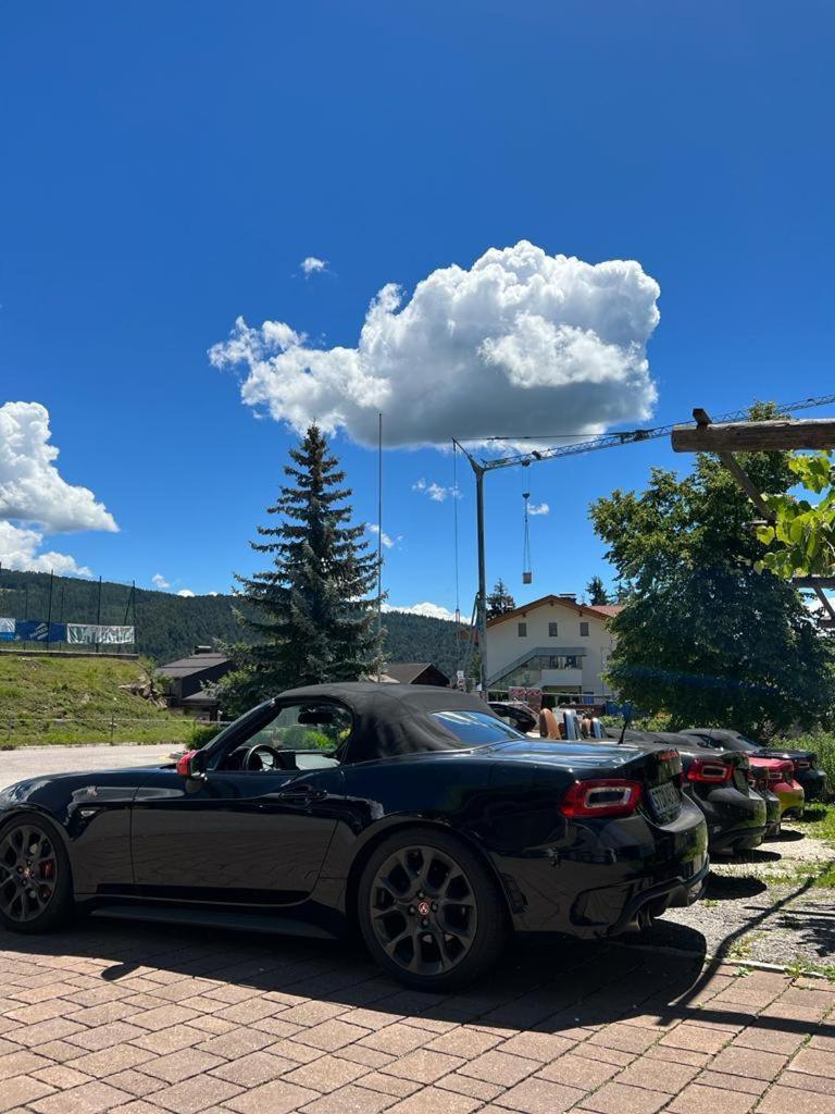Albero Verde Verano Exteriér fotografie